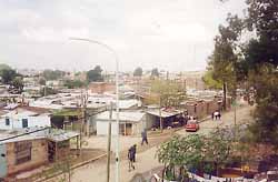 ideha-barrios2.jpg (16060 bytes)